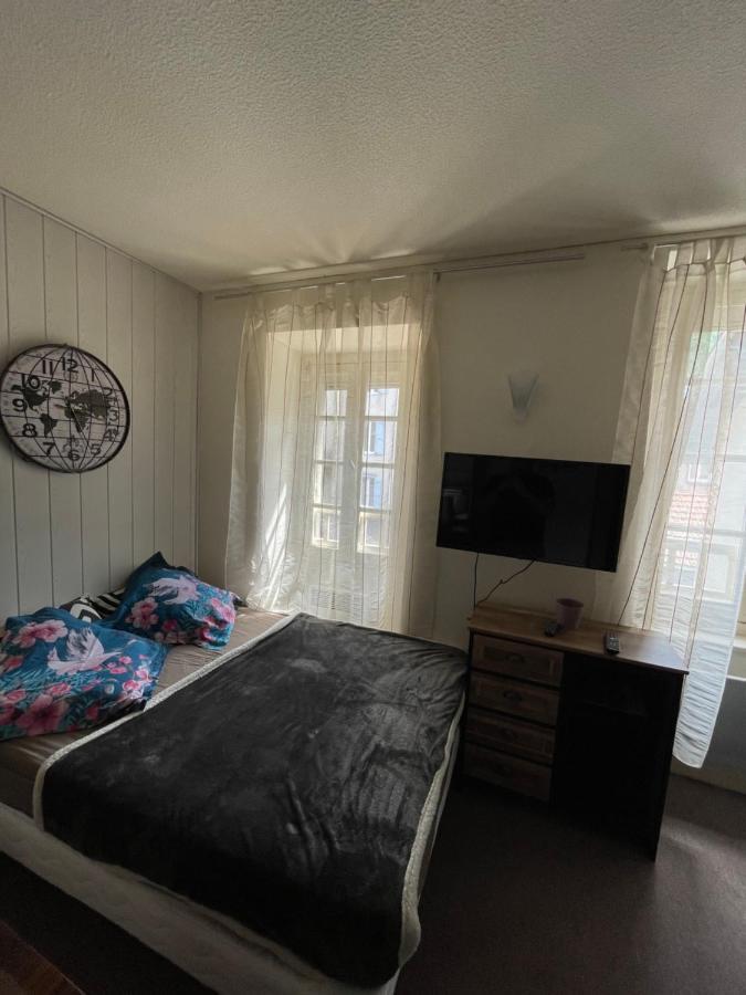 Superbe Appartement Au Bord De La Riviere Ax-les-Thermes Zewnętrze zdjęcie